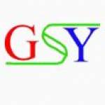 GSY Electric profile picture