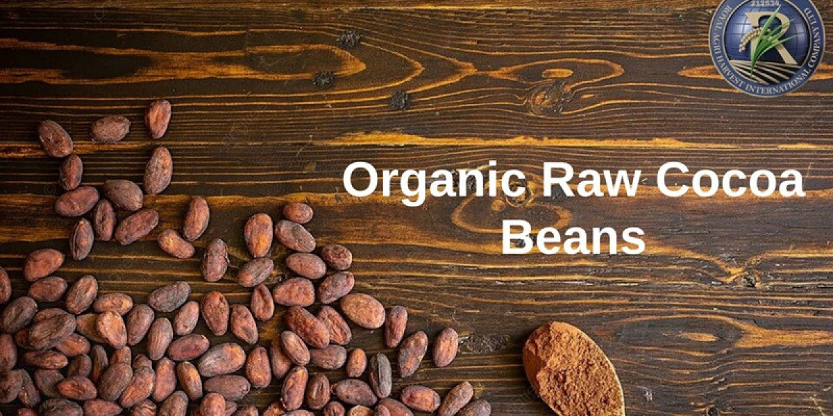 Discover the Finest Organic Raw Cocoa Beans and Natural Cacao Beans from Africa