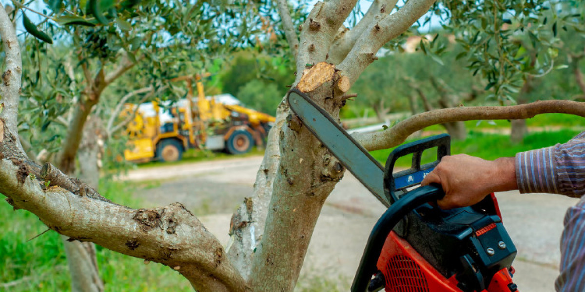 Comprehensive Tree Care Services in Kenilworth with Arbor Vitae Landscape