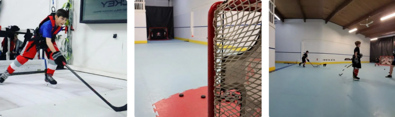 Mastering the Art of Scoring: The Role of an NHL Shooting and Scoring Coach: ext_6580230 — LiveJournal