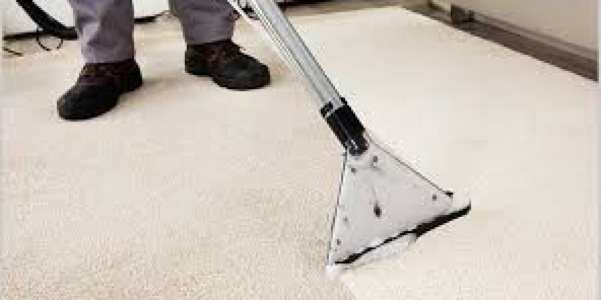 Why Professional Carpet Cleaning Is Essential for Maintaining Home Beauty