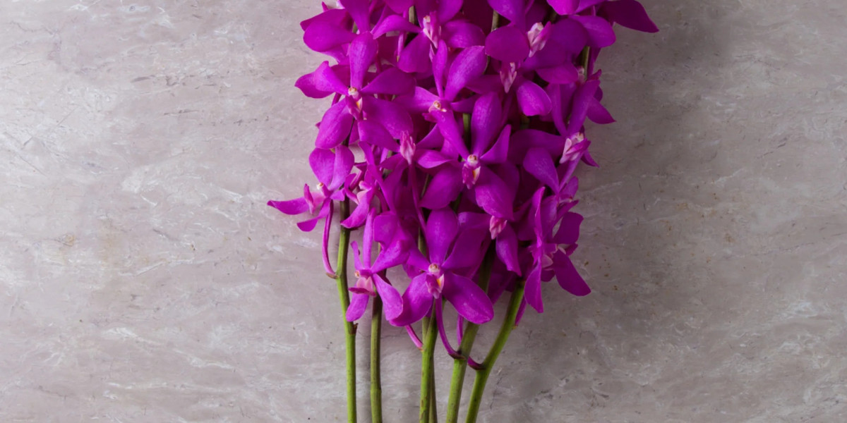 Your Guide to Ordering Premium Purple Orchids Online in Thailand