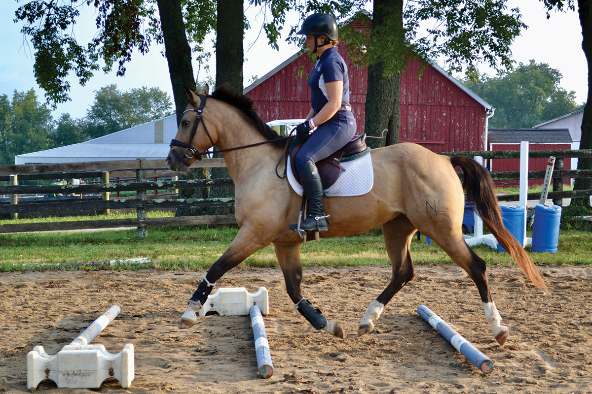 Using Ground Poles in Your Horse's Training - Horse Illustrated