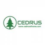 Cedrus Silicone Profile Picture