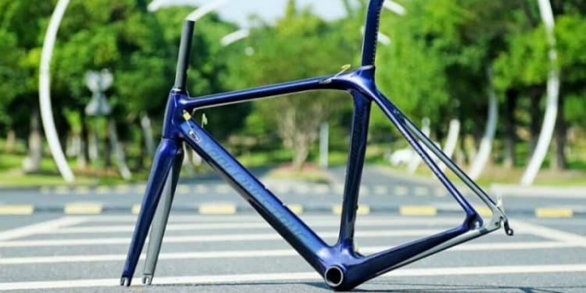 Bicycle Frames Market Growing Popularity and Emerging Trends with Key Players till 2032