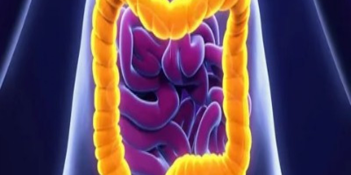 China Ulcerative Colitis Market Primed for Growth on the Back of Increasing Disease Prevalence