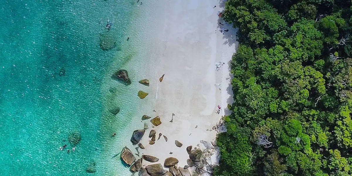 Fitzroy Island: A Thrilling Adventure Hub for Nature Lovers and Outdoor Enthusiasts