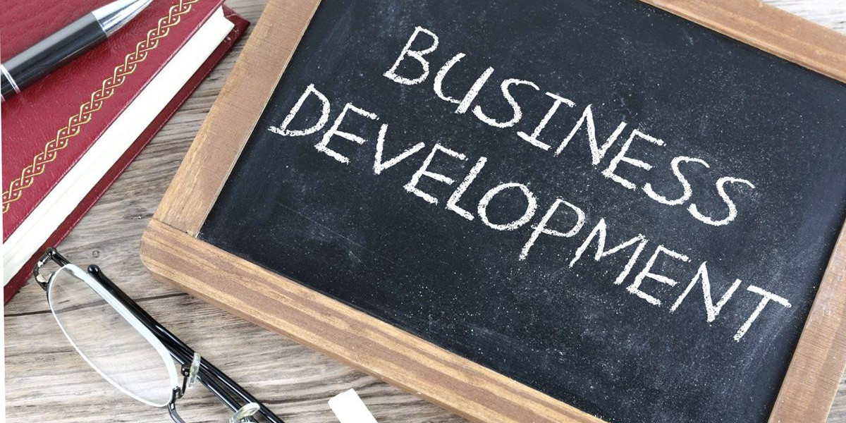 How to Measure the Success of Your Business Development Strategy