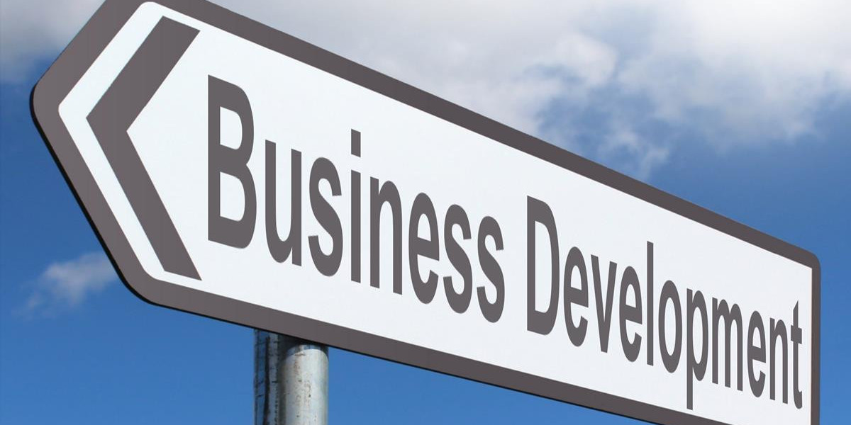 Key Components of an Effective Business Development Strategy