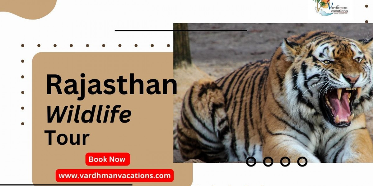 Untamed Rajasthan: A Wildlife Tour Like No Other