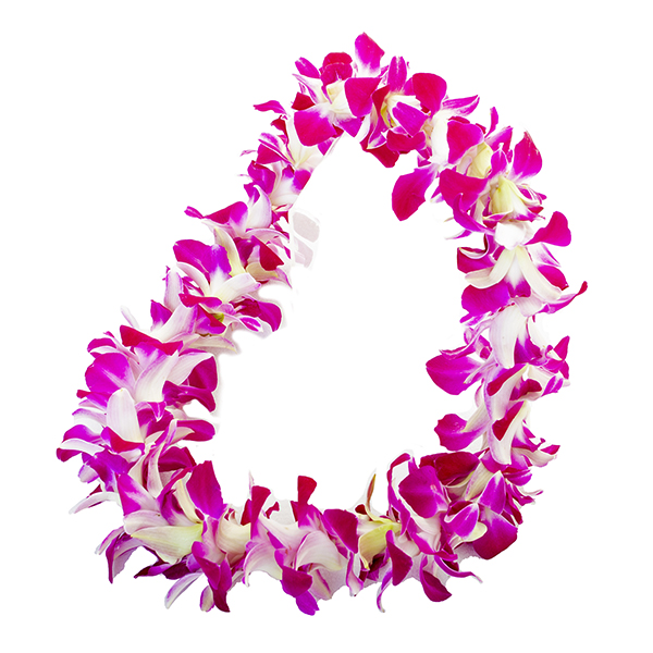 Hawaiian Lei | St Augustine FL | Flower Works | 904-824-7806