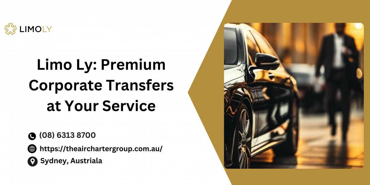 Comfortable Airport Transfers with Professional Service