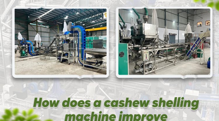 How Does a Cashew Shelling Machine Improve Efficiency?