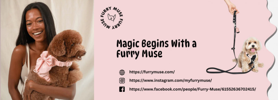 Furry Muse Cover Image