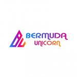 bermudaunnft Profile Picture