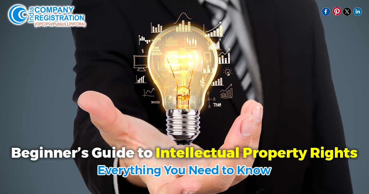 Beginner’s Guide to Intellectual Property Rights: Everything You Need to Know