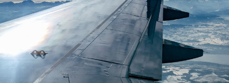 AviaCost LLC Cover Image