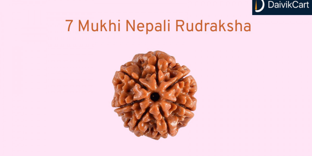 Get 7 Mukhi Nepali Rudraksha For Wealth and Spiritual Power
