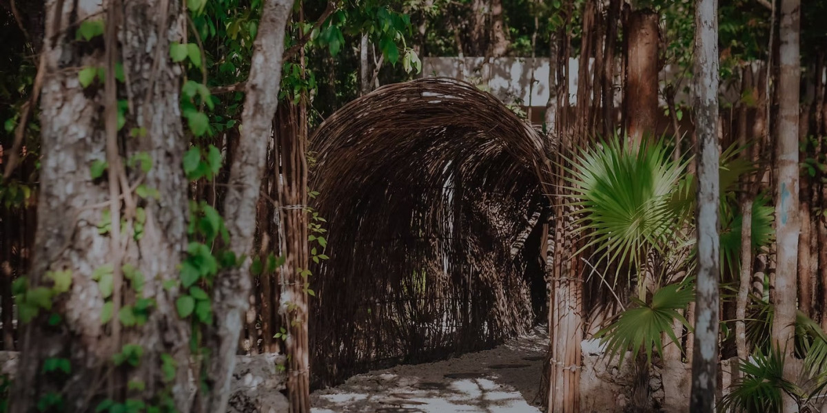 Escape to Paradise: Why Lunita Jungle Retreat is the Ultimate Wellness Getaway in Mexico