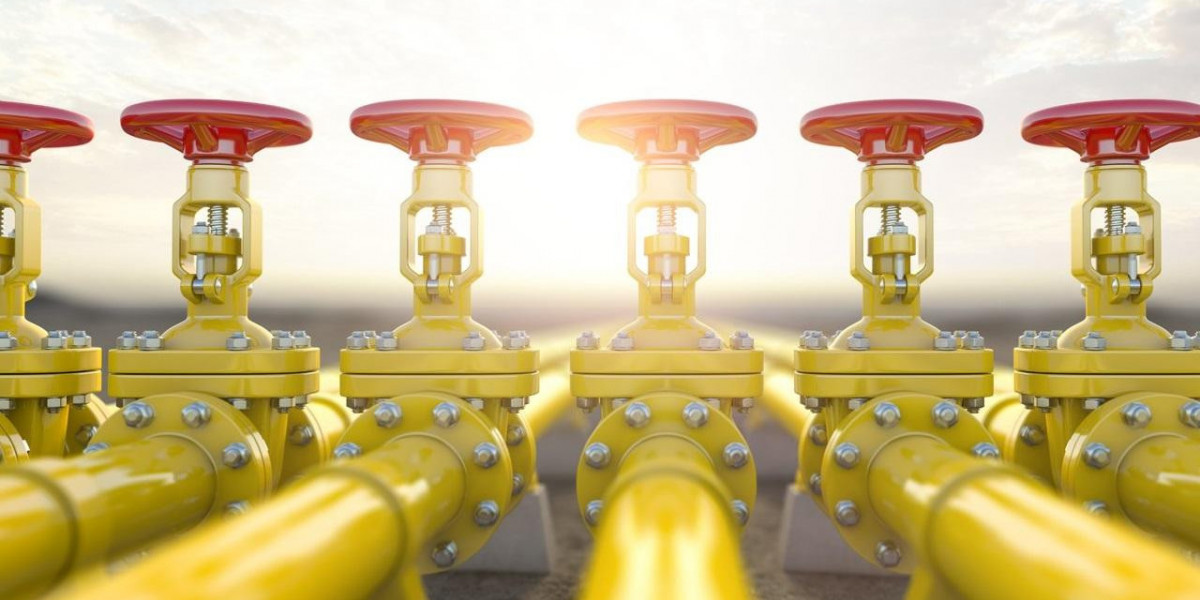 Finding the Right Natural Gas Valves Suppliers for Your Project