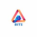 BestInfoTechSolution profile picture