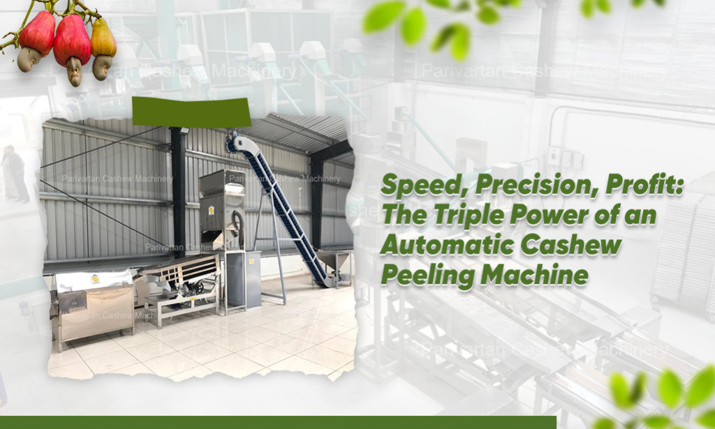 How an Automatic Cashew Peeling Machine Delivers Speed, Precision, and Profit