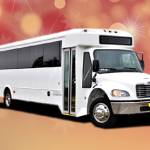 Brooklyn Party Bus Rental profile picture