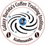Galaxy Training Institute profile picture