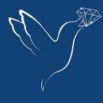 Jeenal Mehta profile picture