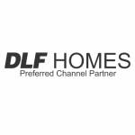 dlf homes profile picture