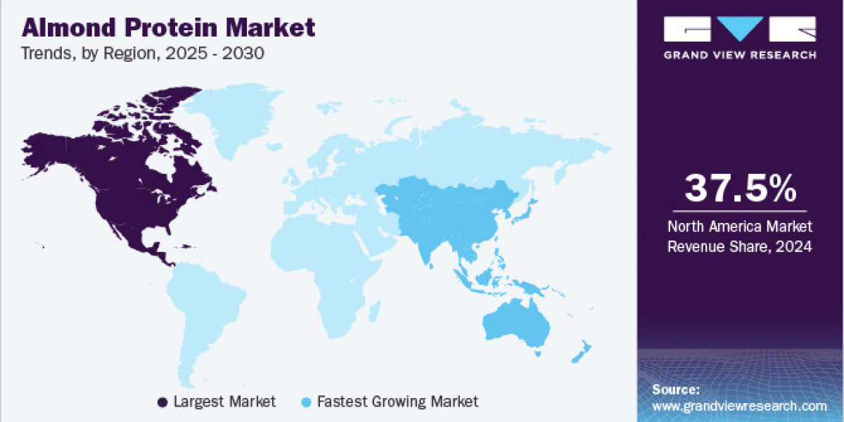 Almond Protein Market SWOT Insights Highlighting Leading Industry