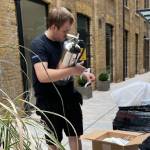 Astoria Fire Alarm Installation Maintenance London Profile Picture