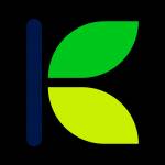 NYN IT Consulting profile picture