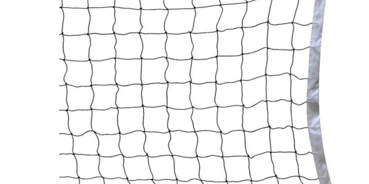 Volleyball Net Buying Guide: Everything You Need to Know