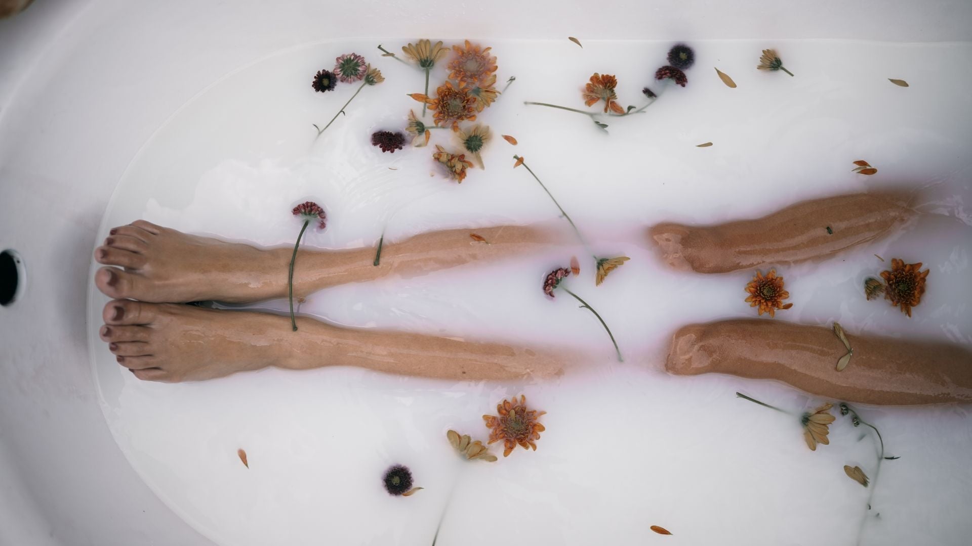 Bubble Me Experience to You — April Exhibition Highlights – Bubble Me