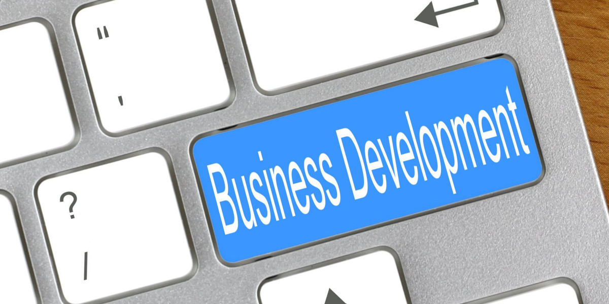 How to Set Up a Business Development Team Successfully