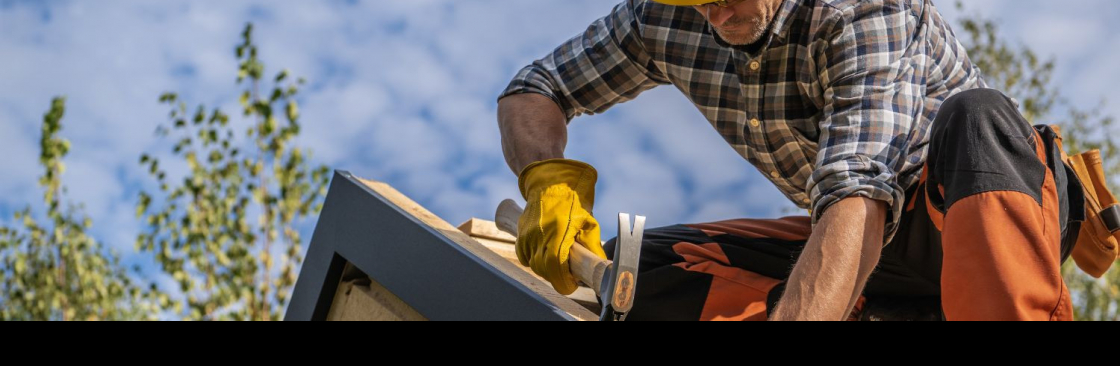 That Roof Dude Cover Image