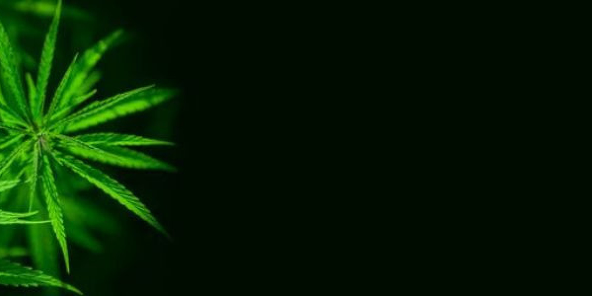 Industrial Hemp Market Size, Share, Market Outlook and Demand Forecast to 2032