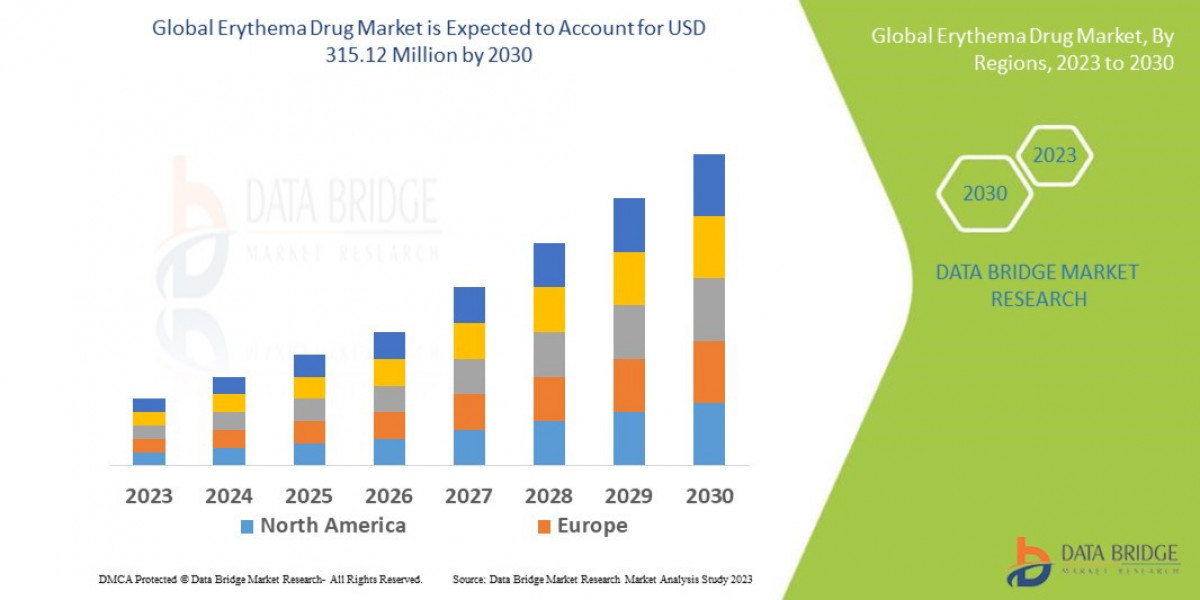 Erythema Drug Market: Trends, Forecast, and Competitive Landscape 2024 –2031