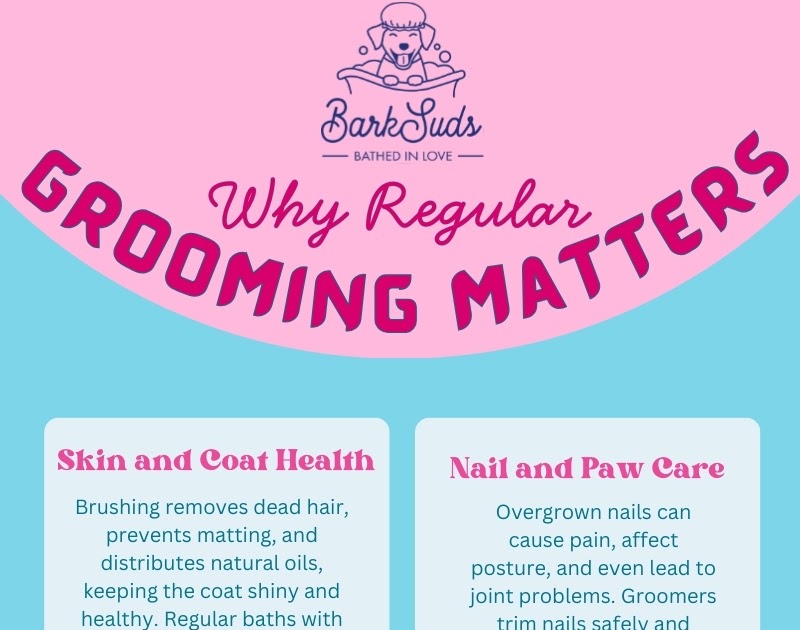 The Art of Canine Grooming in Oviedo