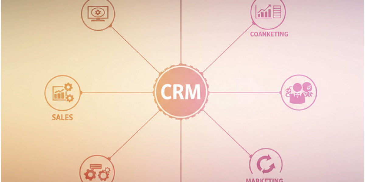 Navigating the Labyrinth: Why Students Seek Customer Relationship Management Assignment Help