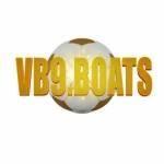 vb9boats profile picture
