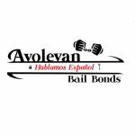 Avolevan bail bonds Chino Hills profile picture