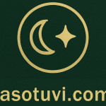 Lá Số Tử Vi profile picture