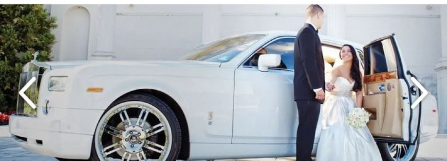 Royal Limo Co Cover Image