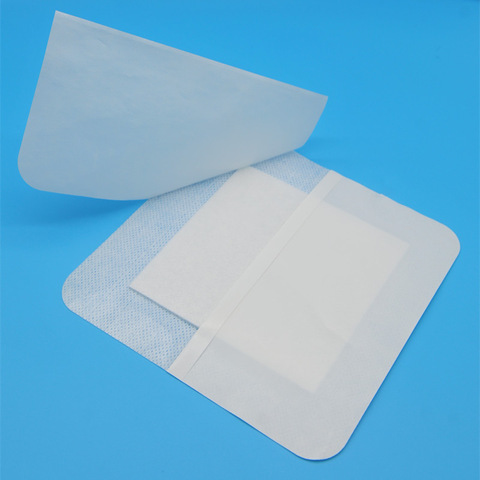 Alginate Dressing: A Closer Look at its Role in Chronic Wound ...